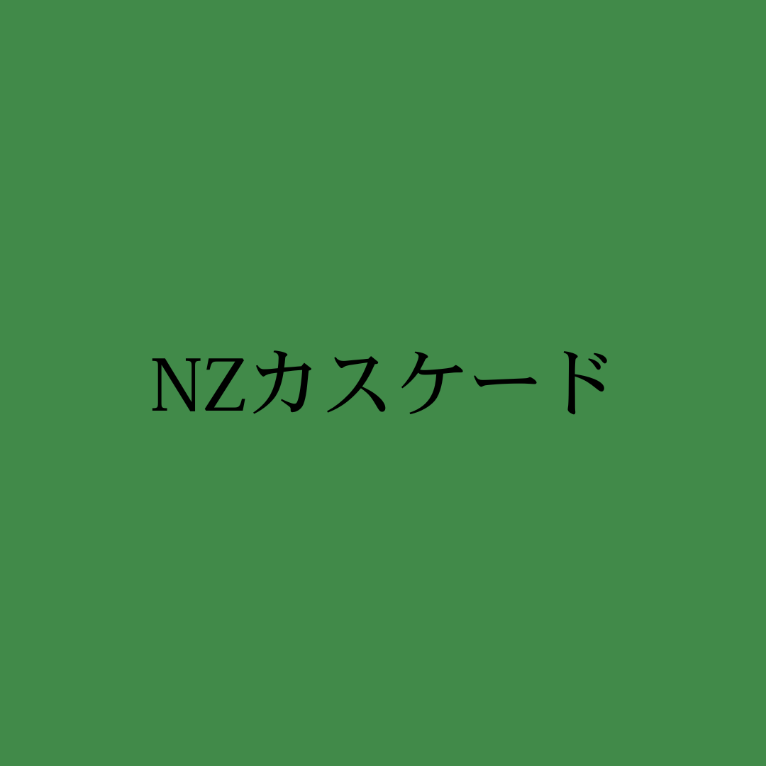 NZカスケード・Freestyle NZ Cascade