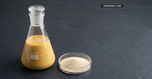 醸造原料ガイド】酵母と発酵の基礎知識：5大スペック指標と酵母栄養素（Yeast Nutrient）の重要性