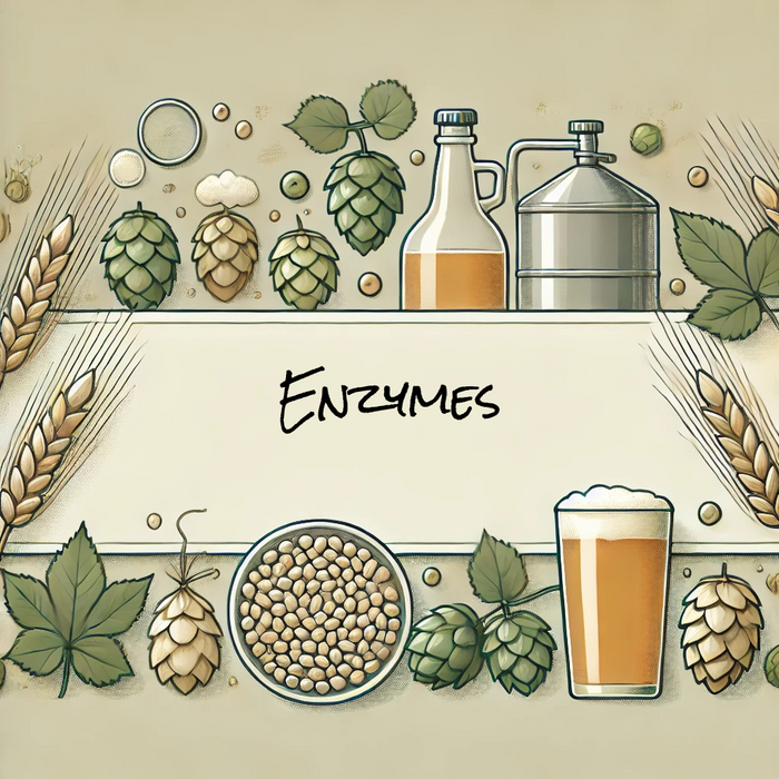 酵素の力：ビール醸造を進化させる3つのWHC Lab製酵素の紹介