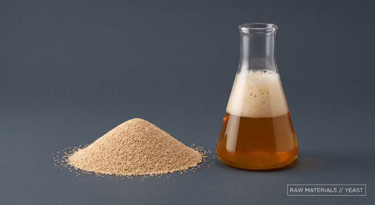 醸造原料ガイド】酵母と発酵の基礎知識：5大スペック指標と酵母栄養素（Yeast Nutrient）の重要性