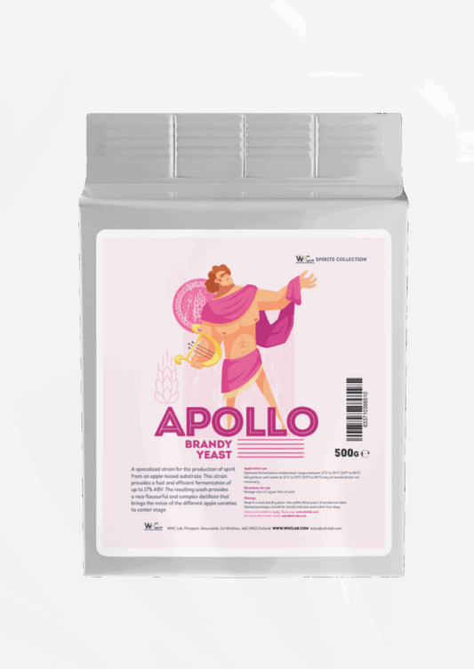 Apollo – Brandy・ブランデー