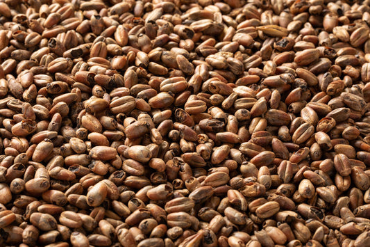 カラクリスタル ウィートモルト 55L・Caracrystal® Wheat Malt 55L