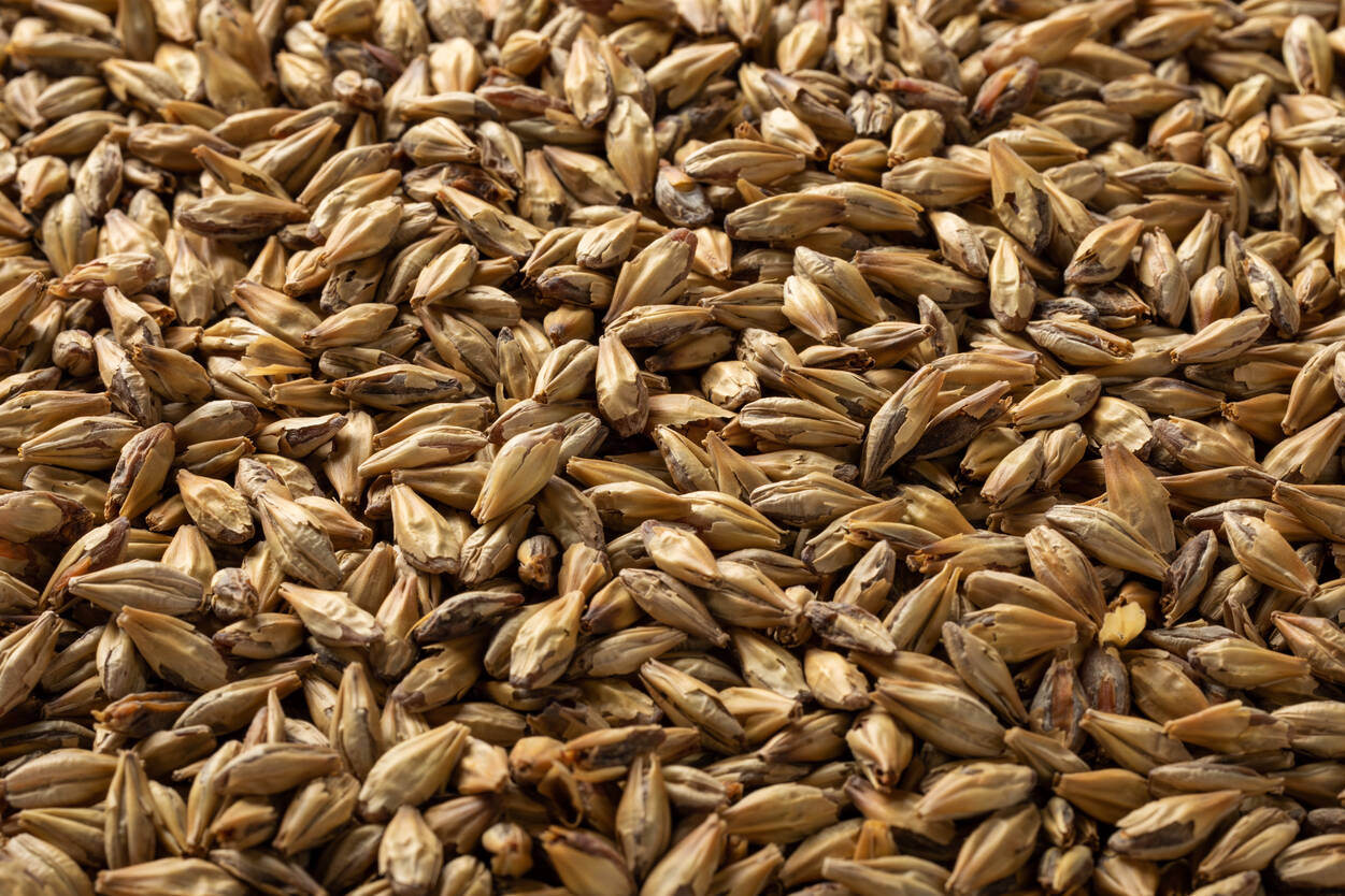 デキストリン コッパーモルト・Dextrin Copper Malt