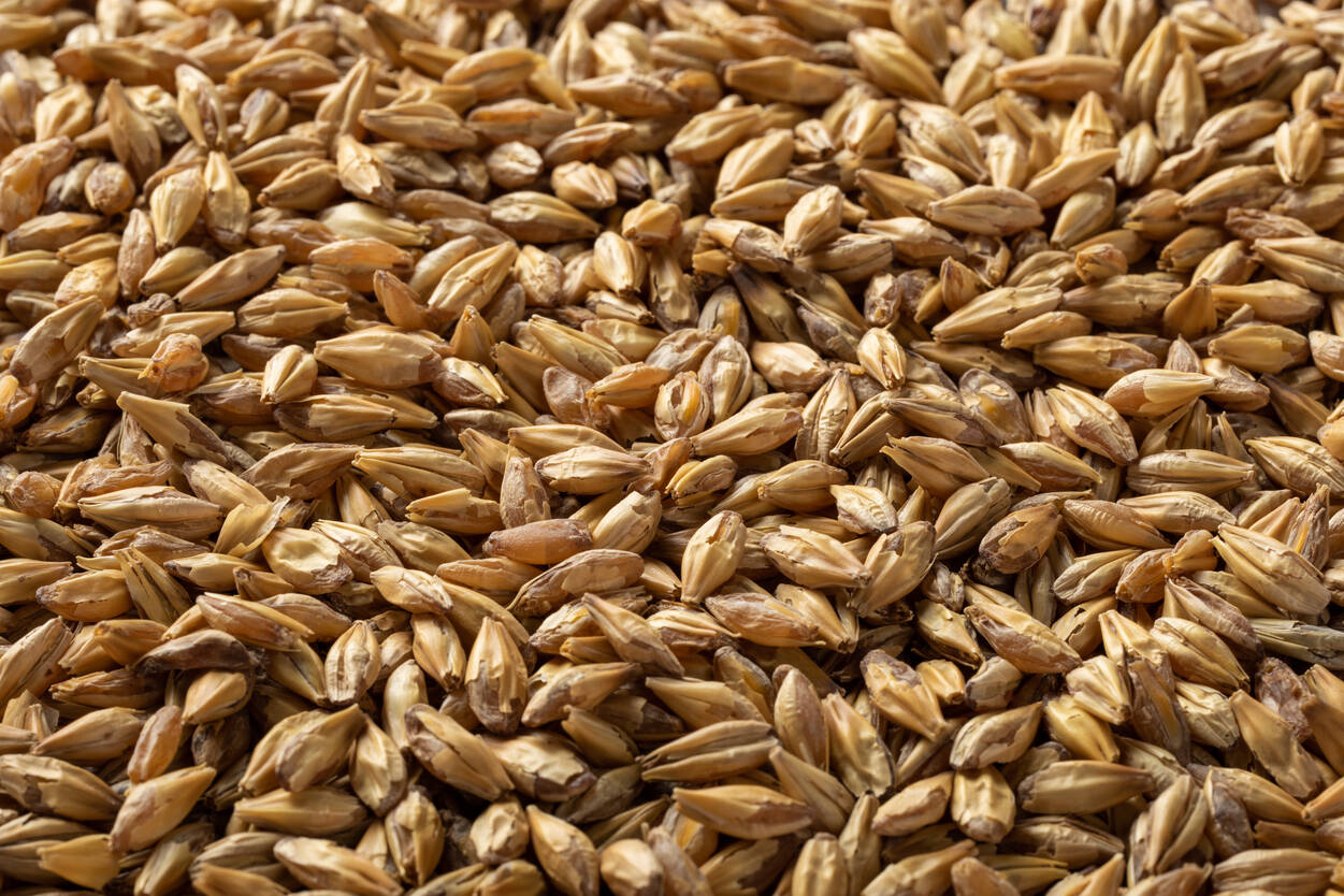 デキストリンモルト・Dextrin Malt