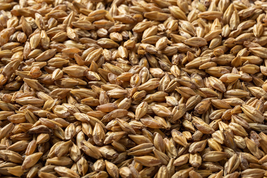デキストリンモルト・Dextrin Malt