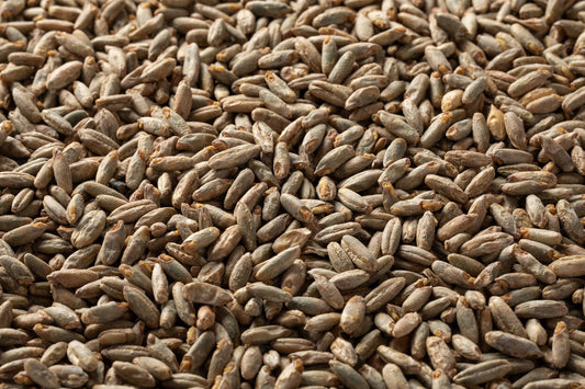 ライモルト・Rye Malt