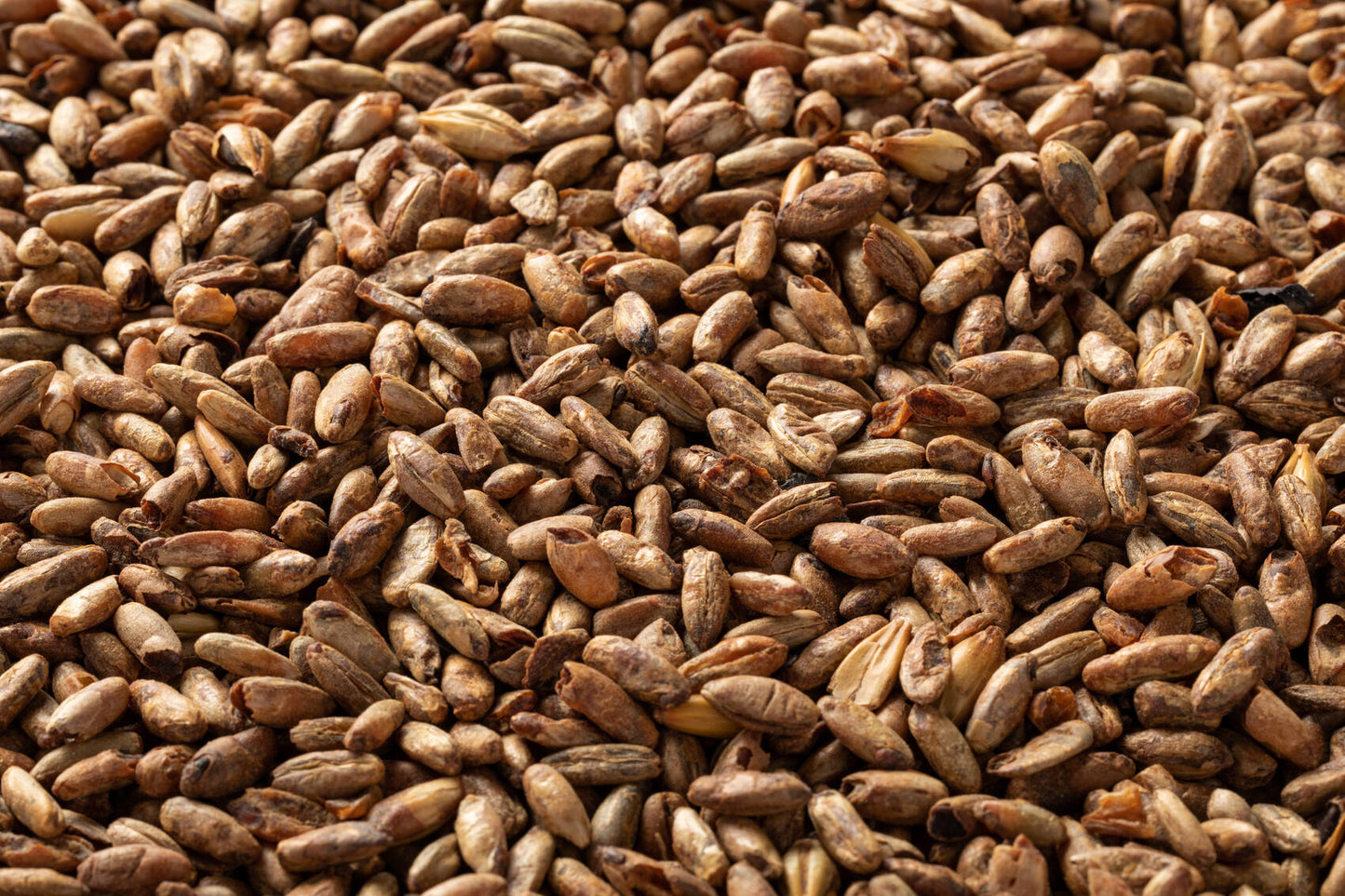 カラメルライモルト 60L・Caramel Rye Malt 60L