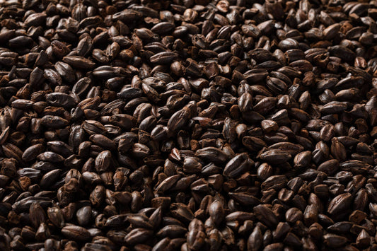 ダークチョコレートモルト・Dark Chocolate Malt