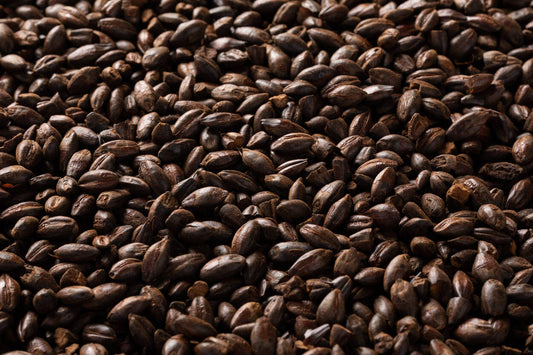 ブラックバーリー・Black Barley