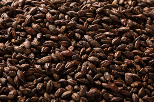 ローストバーリー・Roasted Barley