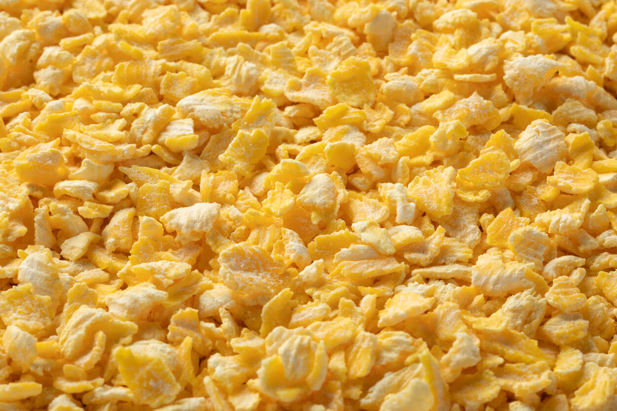 ブリュワーズイエローコーンフレーク・Brewers Yellow Corn Flakes